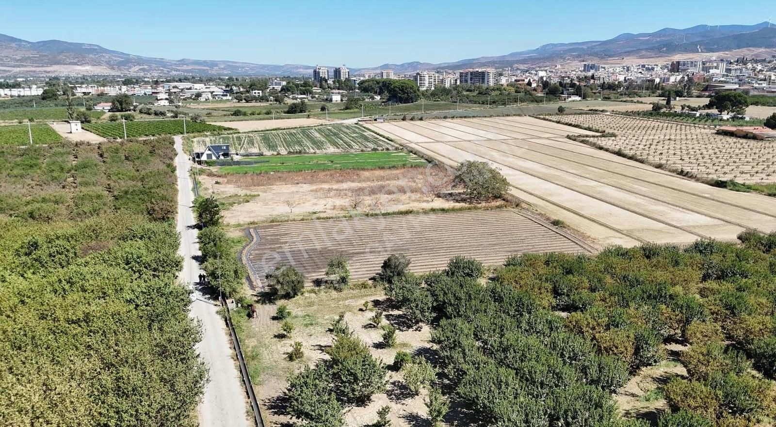 Menemen Merkezde Satılık 3081 M2 Tapulu Komşuları Olan Bahçe - Görsel 14