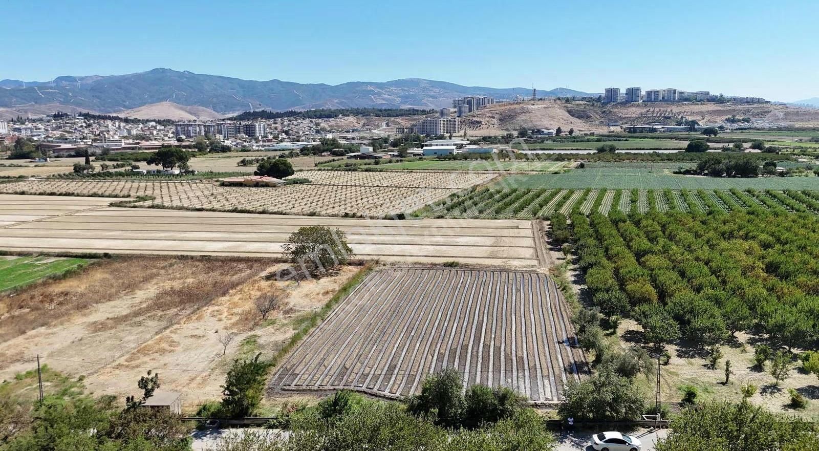 Menemen Merkezde Satılık 3081 M2 Tapulu Komşuları Olan Bahçe - Görsel 2