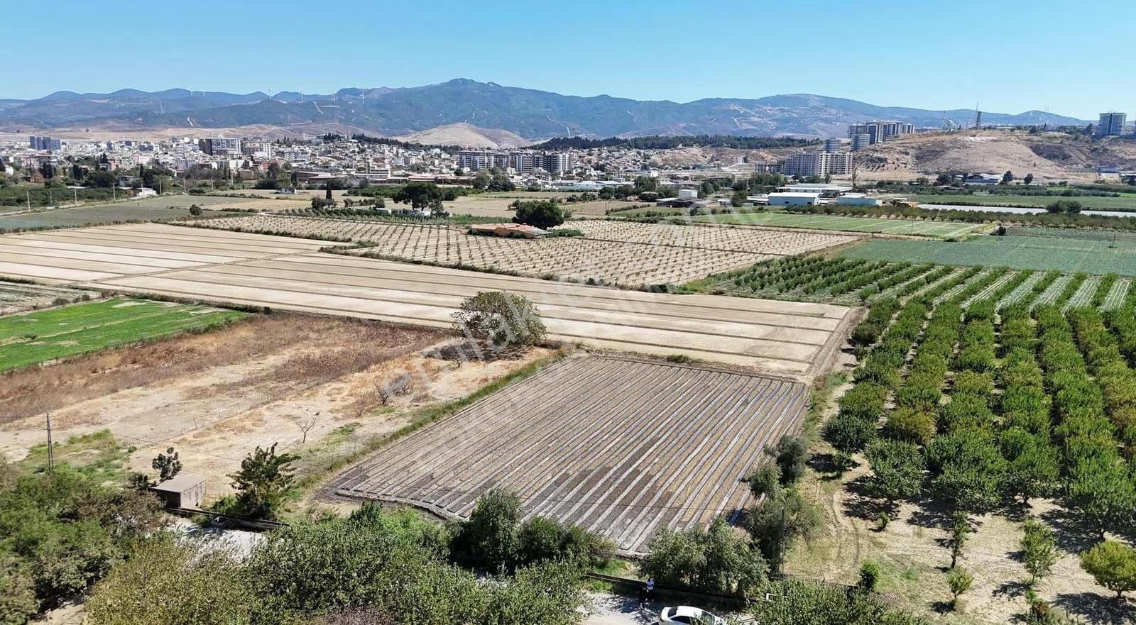 Menemen Merkezde Satılık 3081 M2 Tapulu Komşuları Olan Bahçe - Görsel 12