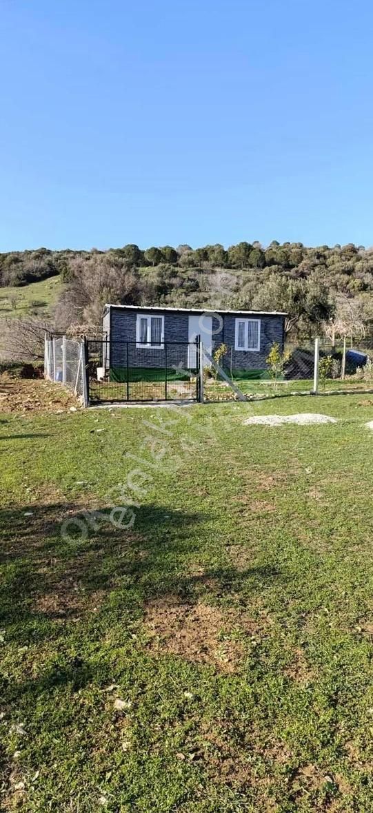 Kozbeylide 300 M2 Tapulu Bol Komşuları Olan Bahçe - Görsel 2