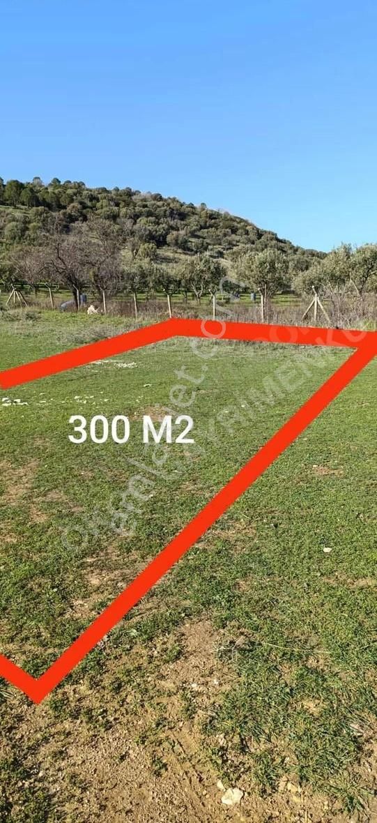 Kozbeylide 300 M2 Tapulu Bol Komşuları Olan Bahçe - Görsel 3