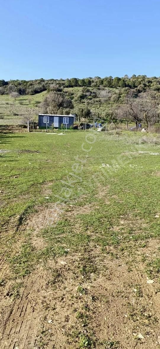 Kozbeylide 300 M2 Tapulu Bol Komşuları Olan Bahçe - Görsel 4