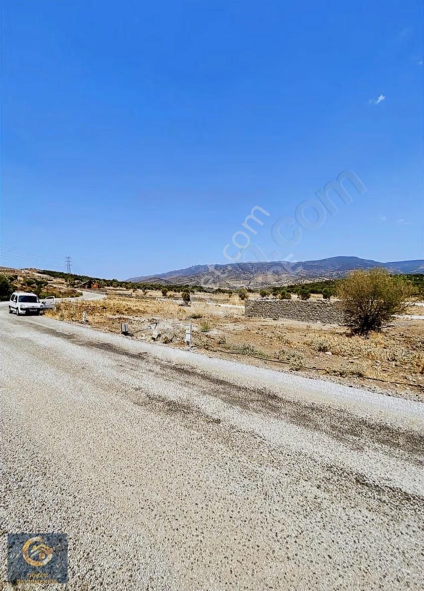 Emiralem Yaylada 250 M2 Asfalt Yola Cepheli Bahçe - Görsel 2