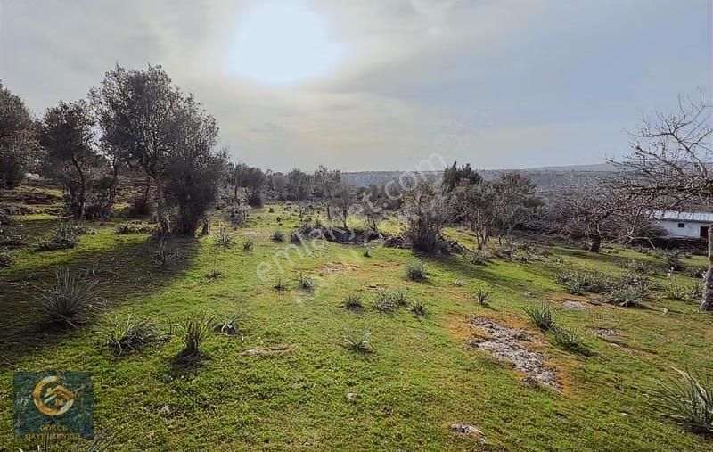 Hacıömerli Köyünde 1040m2 Tapulu Harika Manzaralı Bahçe - Görsel 4