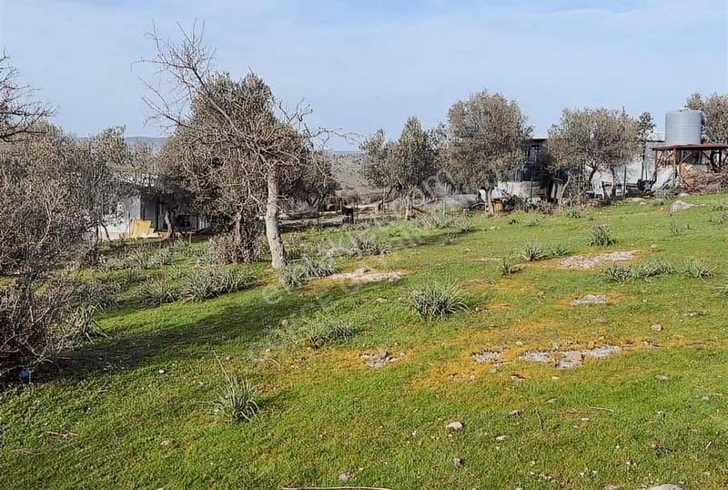 Hacıömerli Köyünde 1040m2 Tapulu Harika Manzaralı Bahçe - Görsel 5