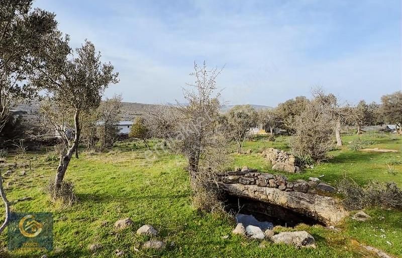 Hacıömerli Köyünde 1040m2 Tapulu Harika Manzaralı Bahçe - Görsel 16