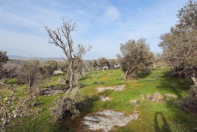 Hacıömerli Köyünde 1040m2 Tapulu Harika Manzaralı Bahçe - Görsel 23