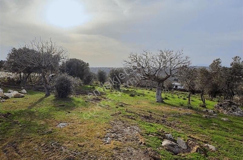 Hacıömerli Köyünde 1040m2 Tapulu Harika Manzaralı Bahçe - Görsel 17