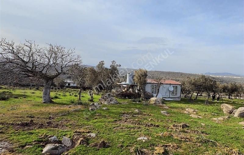 Hacıömerli Köyünde 1040m2 Tapulu Harika Manzaralı Bahçe - Görsel 18