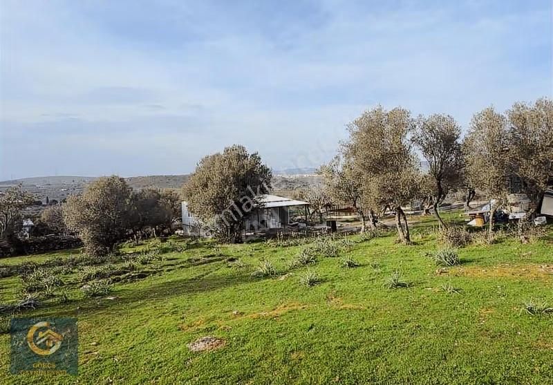 Hacıömerli Köyünde 1040m2 Tapulu Harika Manzaralı Bahçe - Görsel 13