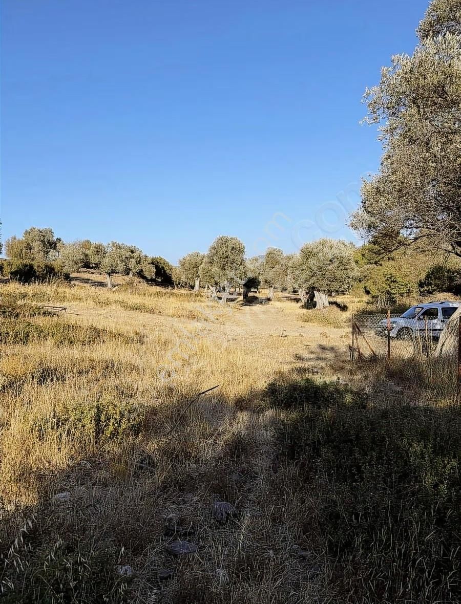 Kozbeyli Çeşmesinin Arkasında Tapulu İmara Açılacak Bahçe - Görsel 9