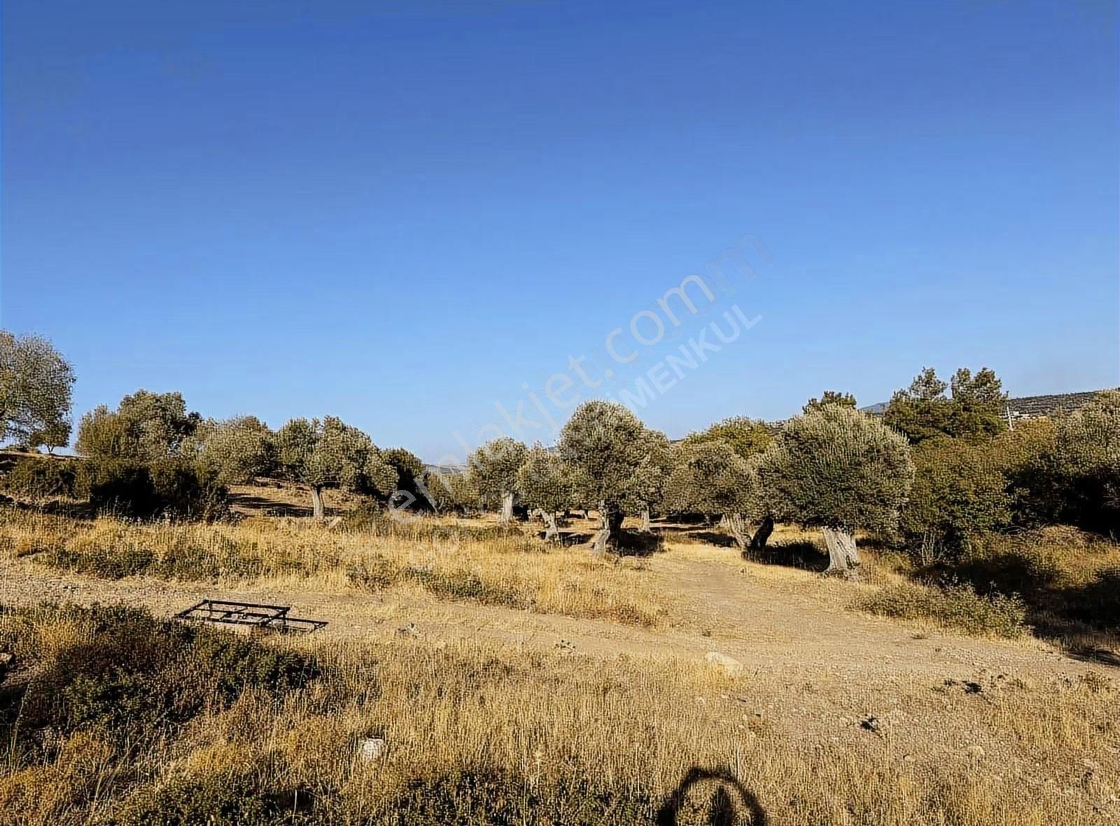 Kozbeyli Çeşmesinin Arkasında Tapulu İmara Açılacak Bahçe - Görsel 10