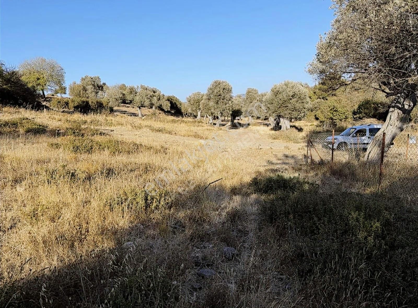 Kozbeyli Çeşmesinin Arkasında Tapulu İmara Açılacak Bahçe - Görsel 2