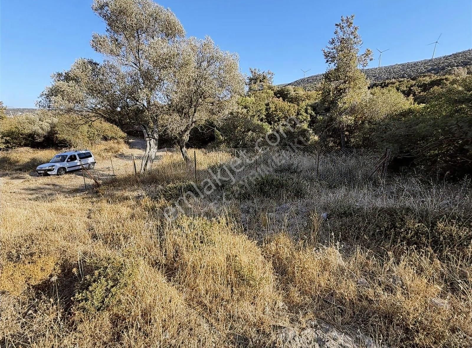 Kozbeyli Çeşmesinin Arkasında Tapulu İmara Açılacak Bahçe - Görsel 12