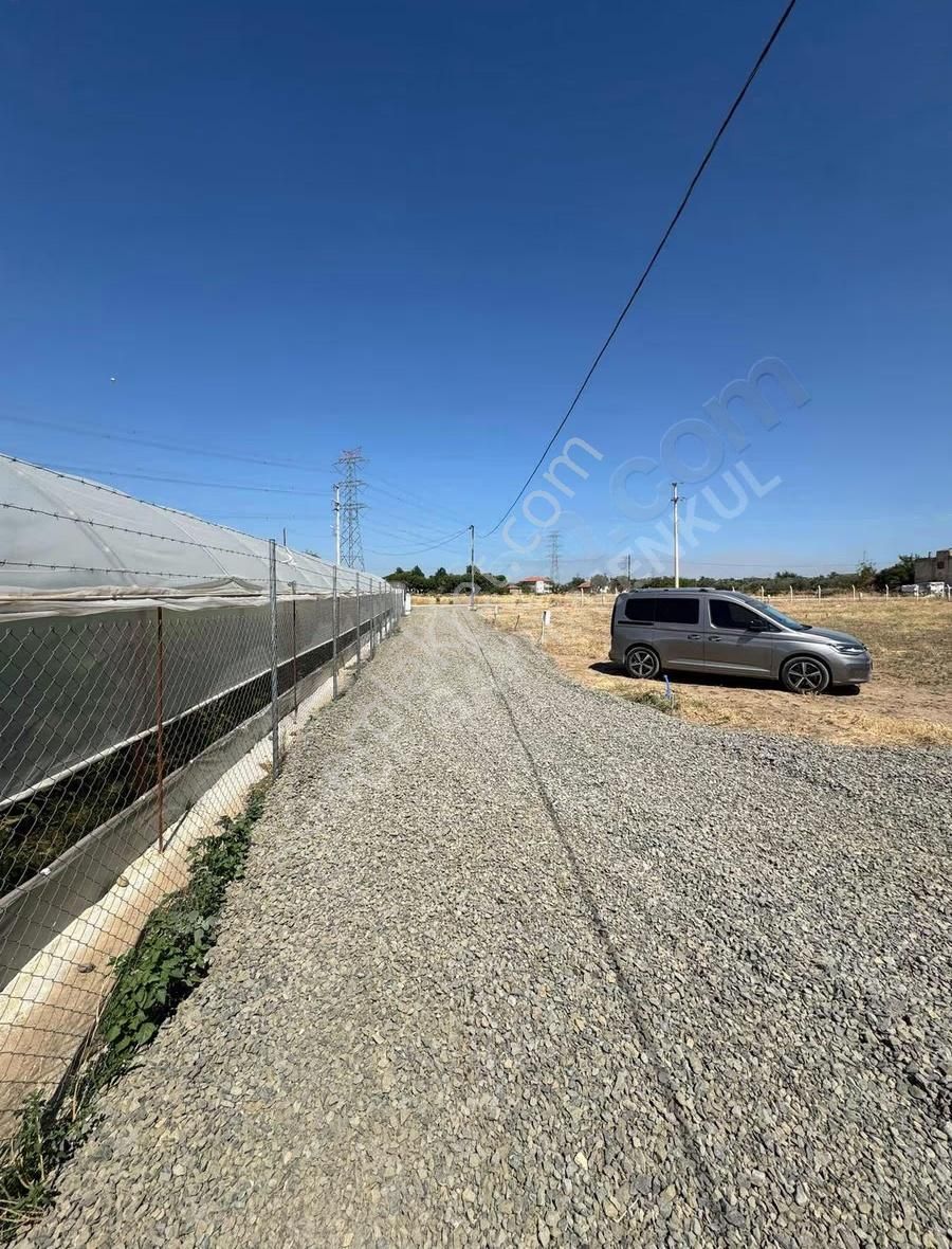 Türkelli Köyün İçinde 230 M2 - Elektrik Su Doğalgaz- Satılık - Görsel 9