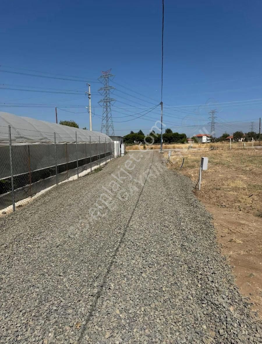 Türkelli Köyün İçinde 230 M2 - Elektrik Su Doğalgaz- Satılık - Görsel 4