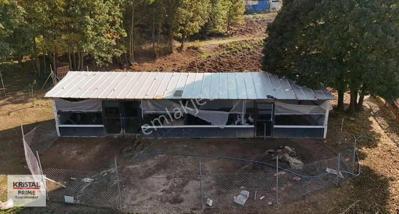 Kr Prımedan Resmi Çiftlik Ruhsatlı Göl Manzaralı Yatırım Fırsatı - Görsel 13