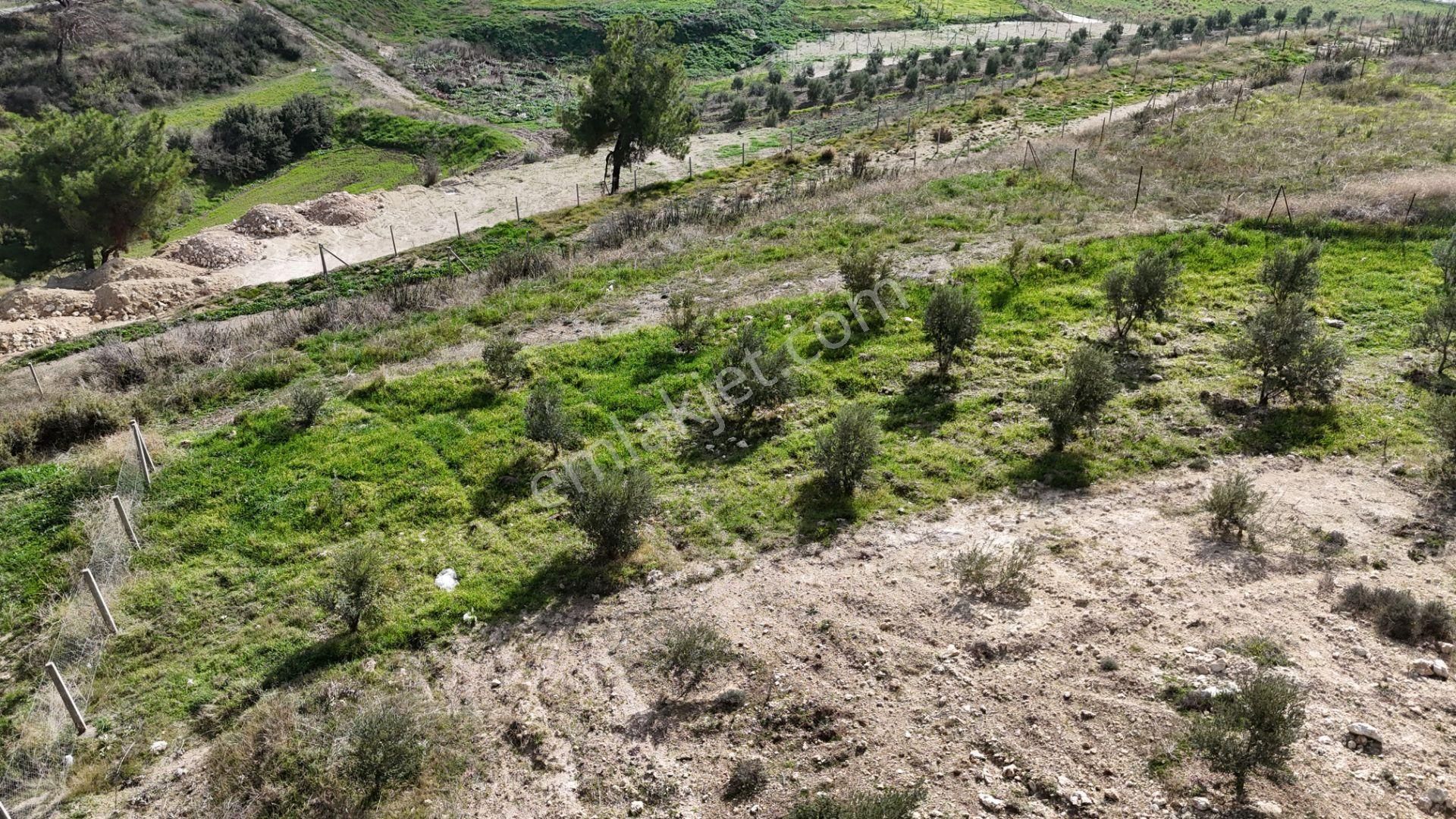 İzmir Menderes Tekeli 3 Ada 37 Parselde Manzaralı Tepe Arsalar - Görsel 21