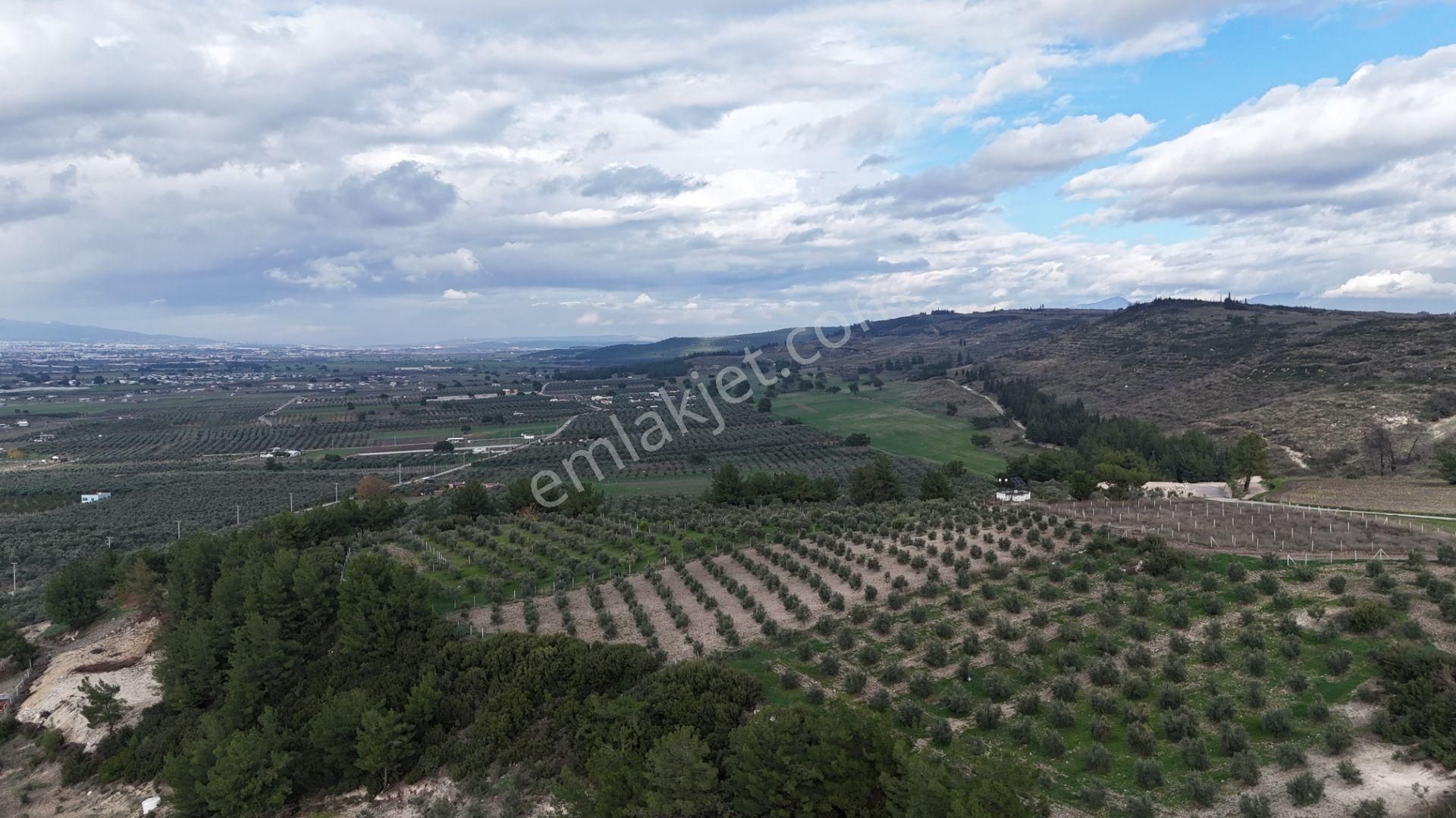 İzmir Menderes Tekeli 3 Ada 37 Parselde Manzaralı Tepe Arsalar - Görsel 19