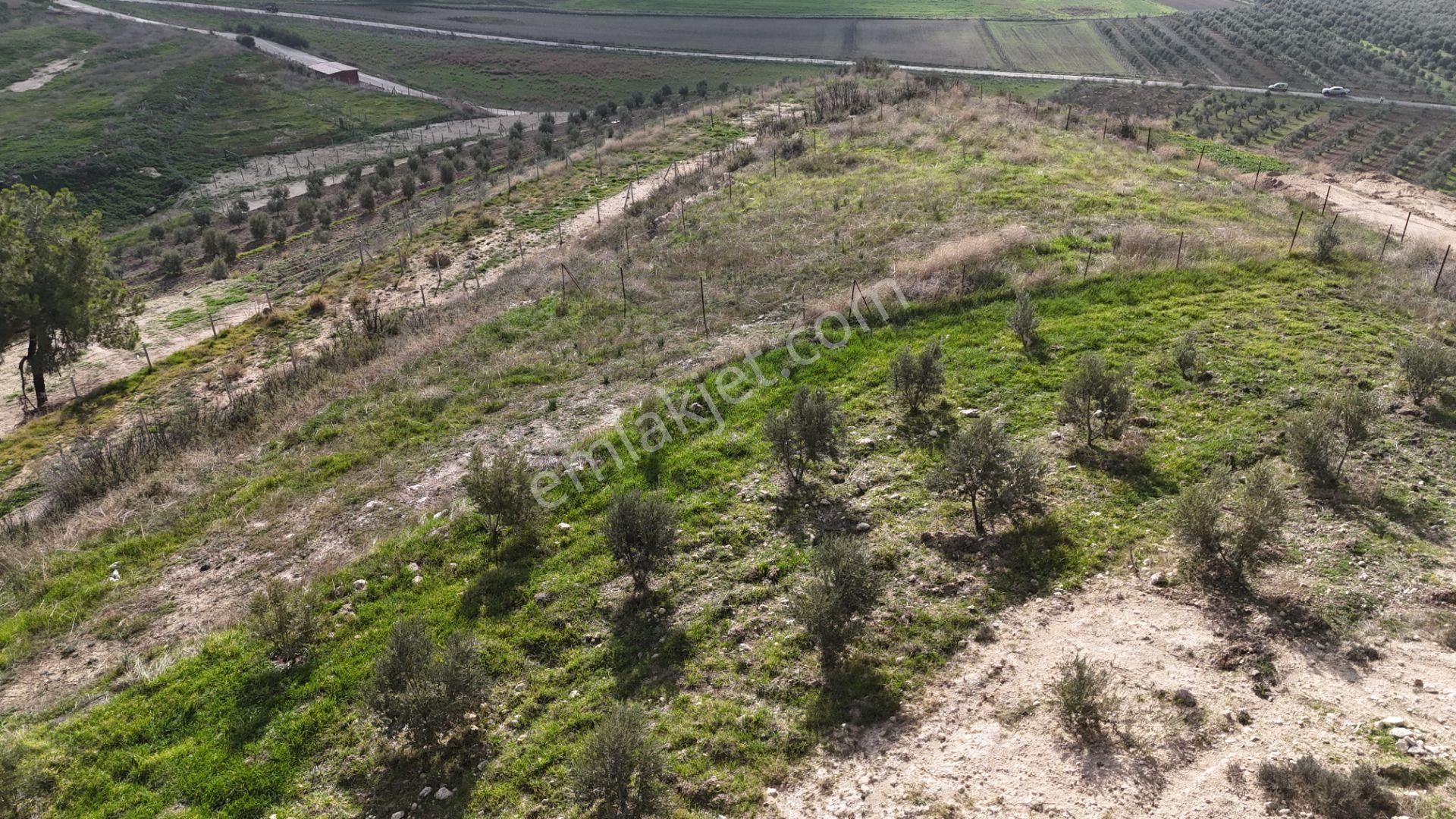 İzmir Menderes Tekeli 3 Ada 37 Parselde Manzaralı Tepe Arsalar - Görsel 26