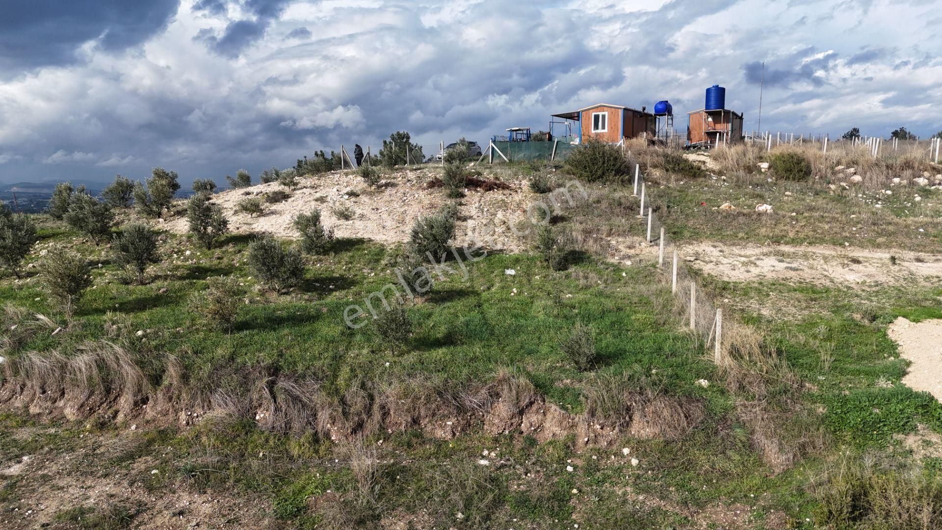 İzmir Menderes Tekeli 3 Ada 37 Parselde Manzaralı Tepe Arsalar - Görsel 13