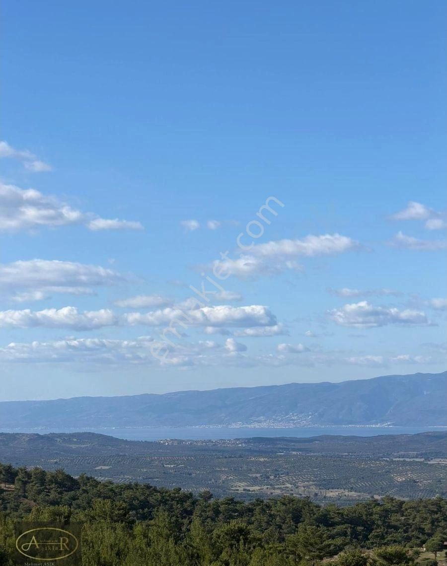 Balıkesir Burhaniye Kuyumcu Köyü Satılık Hobi Bahçesi - Görsel 3