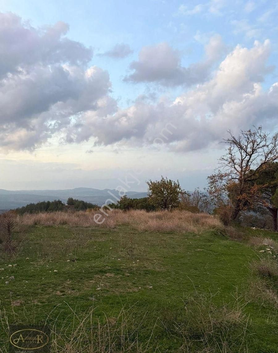 Balıkesir Burhaniye Kuyumcu Köyü Satılık Hobi Bahçesi - Görsel 13