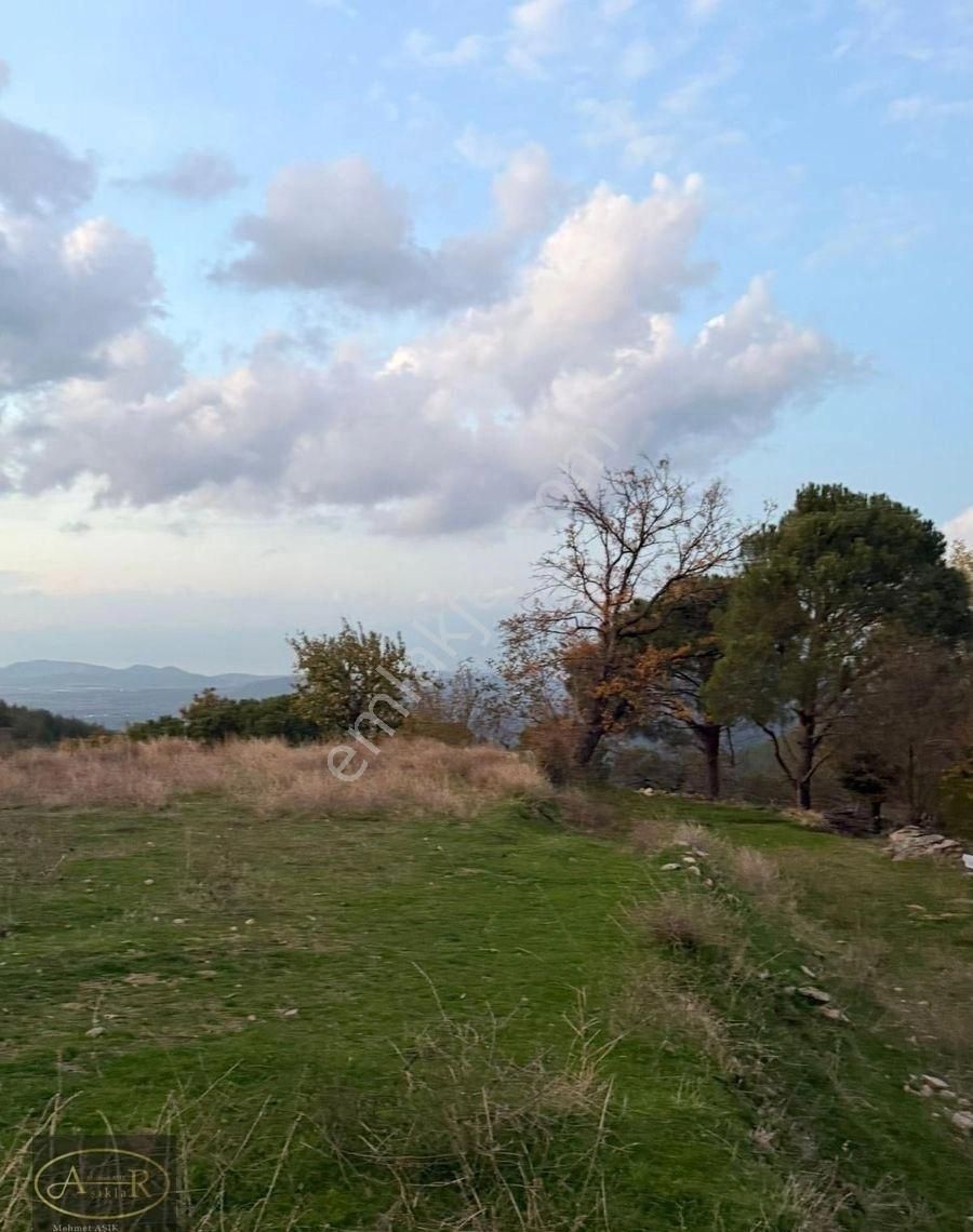 Balıkesir Burhaniye Kuyumcu Köyü Satılık Hobi Bahçesi - Görsel 17