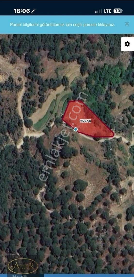 Balıkesir Burhaniye Kuyumcu Köyü Satılık Hobi Bahçesi - Görsel 9