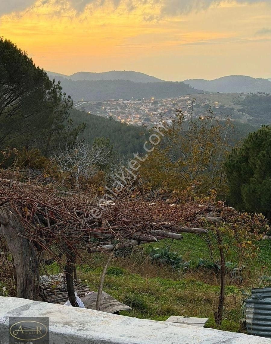 Balıkesir Burhaniye Kuyumcu Köyü Satılık Hobi Bahçesi - Görsel 34