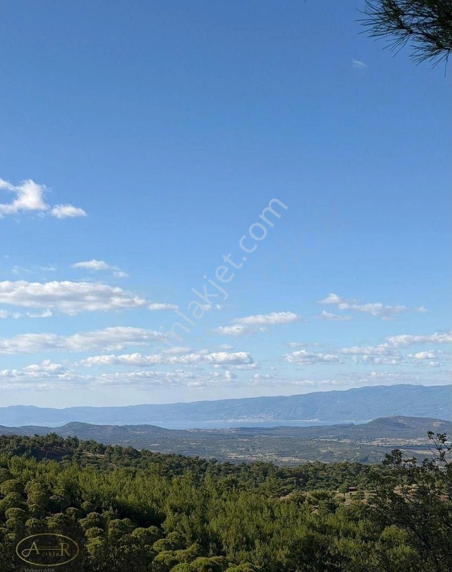 Balıkesir Burhaniye Kuyumcu Köyü Satılık Hobi Bahçesi - Görsel 28