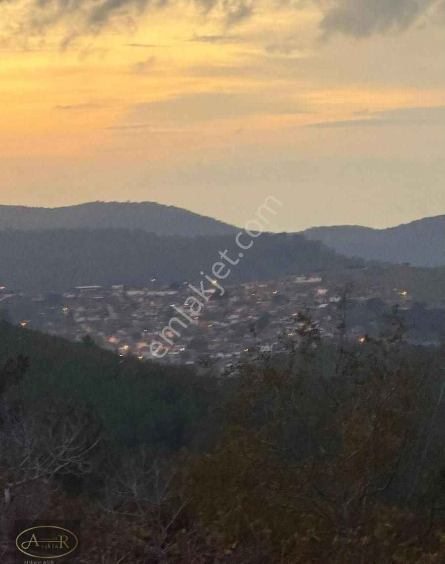 Balıkesir Burhaniye Kuyumcu Köyü Satılık Hobi Bahçesi - Görsel 16