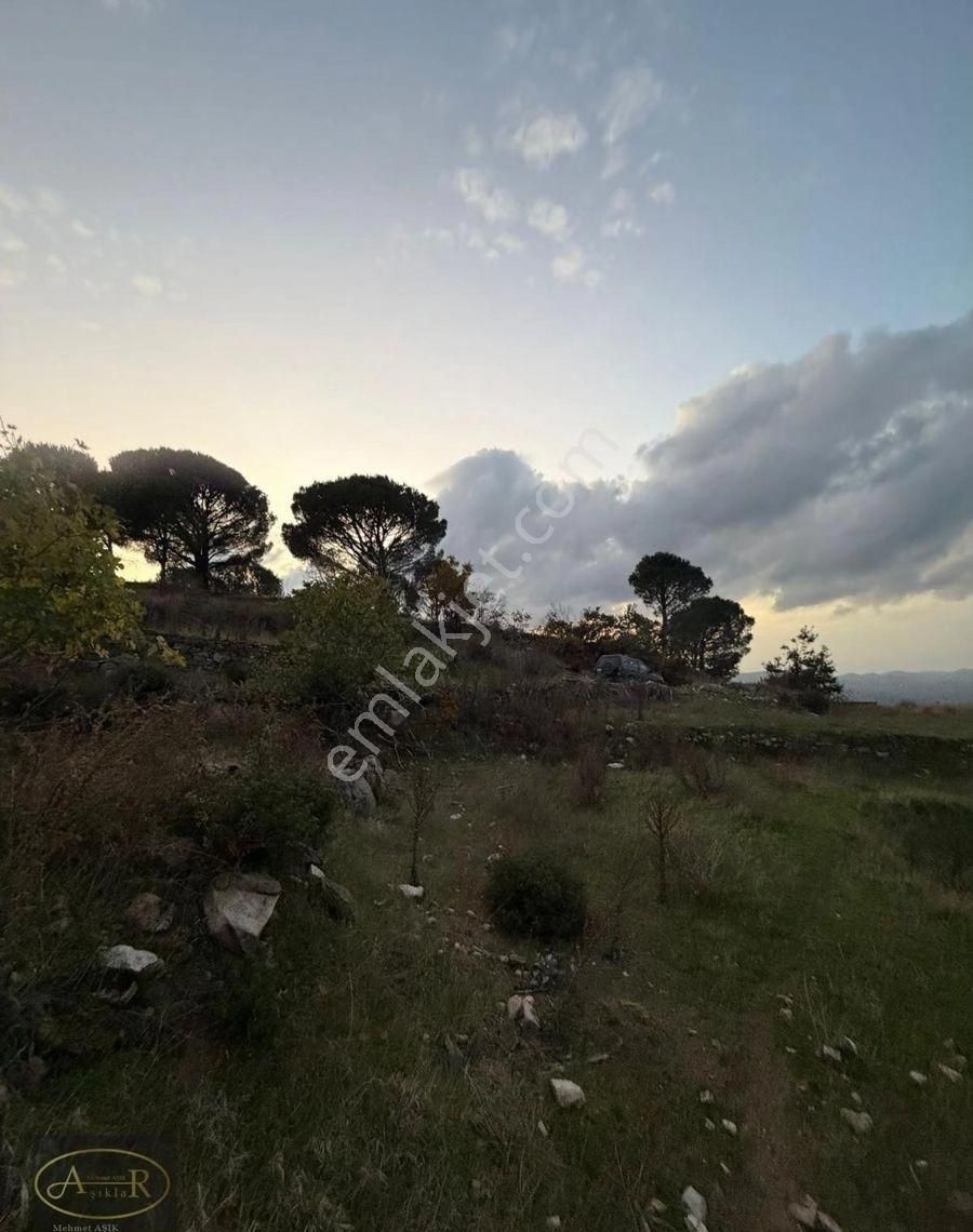 Balıkesir Burhaniye Kuyumcu Köyü Satılık Hobi Bahçesi - Görsel 12