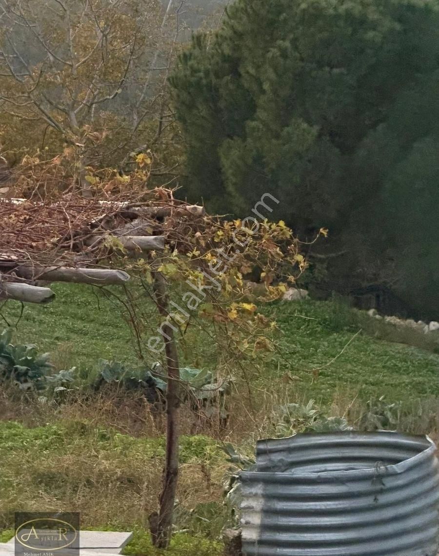 Balıkesir Burhaniye Kuyumcu Köyü Satılık Hobi Bahçesi - Görsel 27