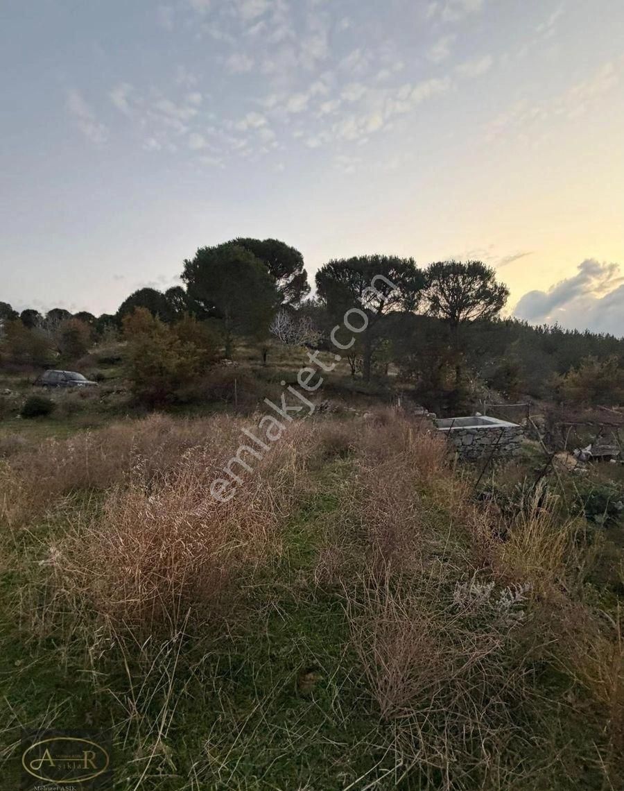 Balıkesir Burhaniye Kuyumcu Köyü Satılık Hobi Bahçesi - Görsel 30