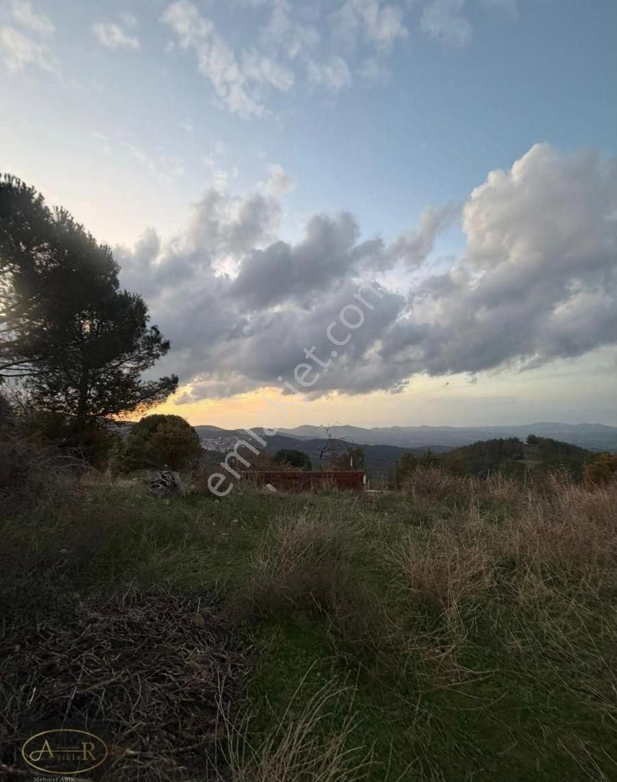 Balıkesir Burhaniye Kuyumcu Köyü Satılık Hobi Bahçesi - Görsel 29