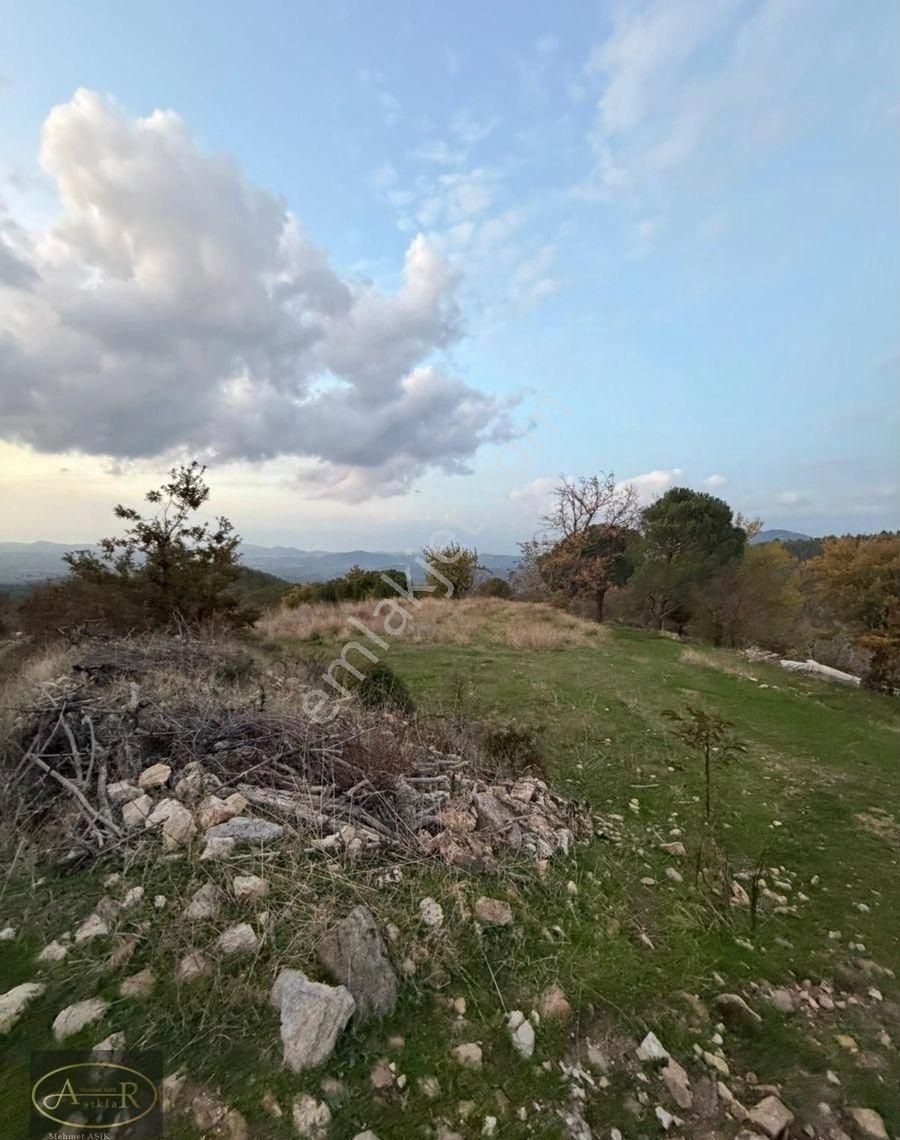 Balıkesir Burhaniye Kuyumcu Köyü Satılık Hobi Bahçesi