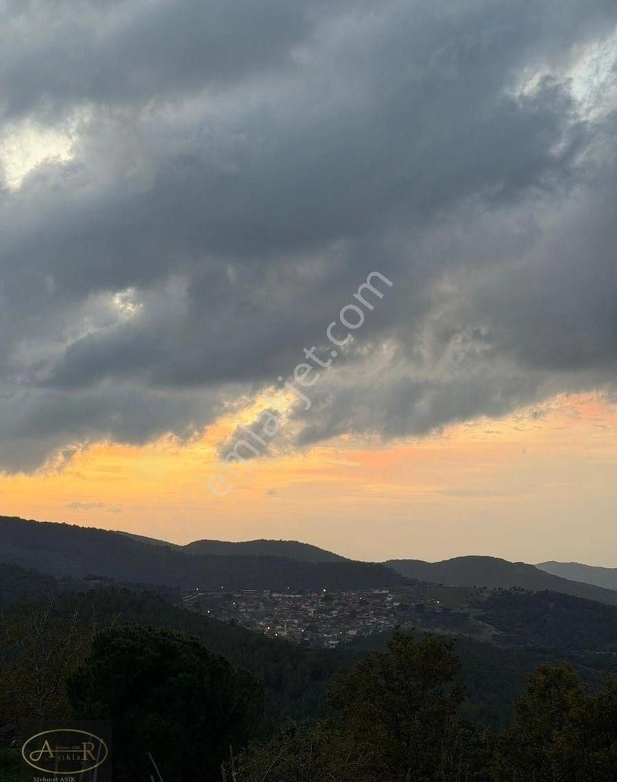 Balıkesir Burhaniye Kuyumcu Köyü Satılık Hobi Bahçesi - Görsel 7