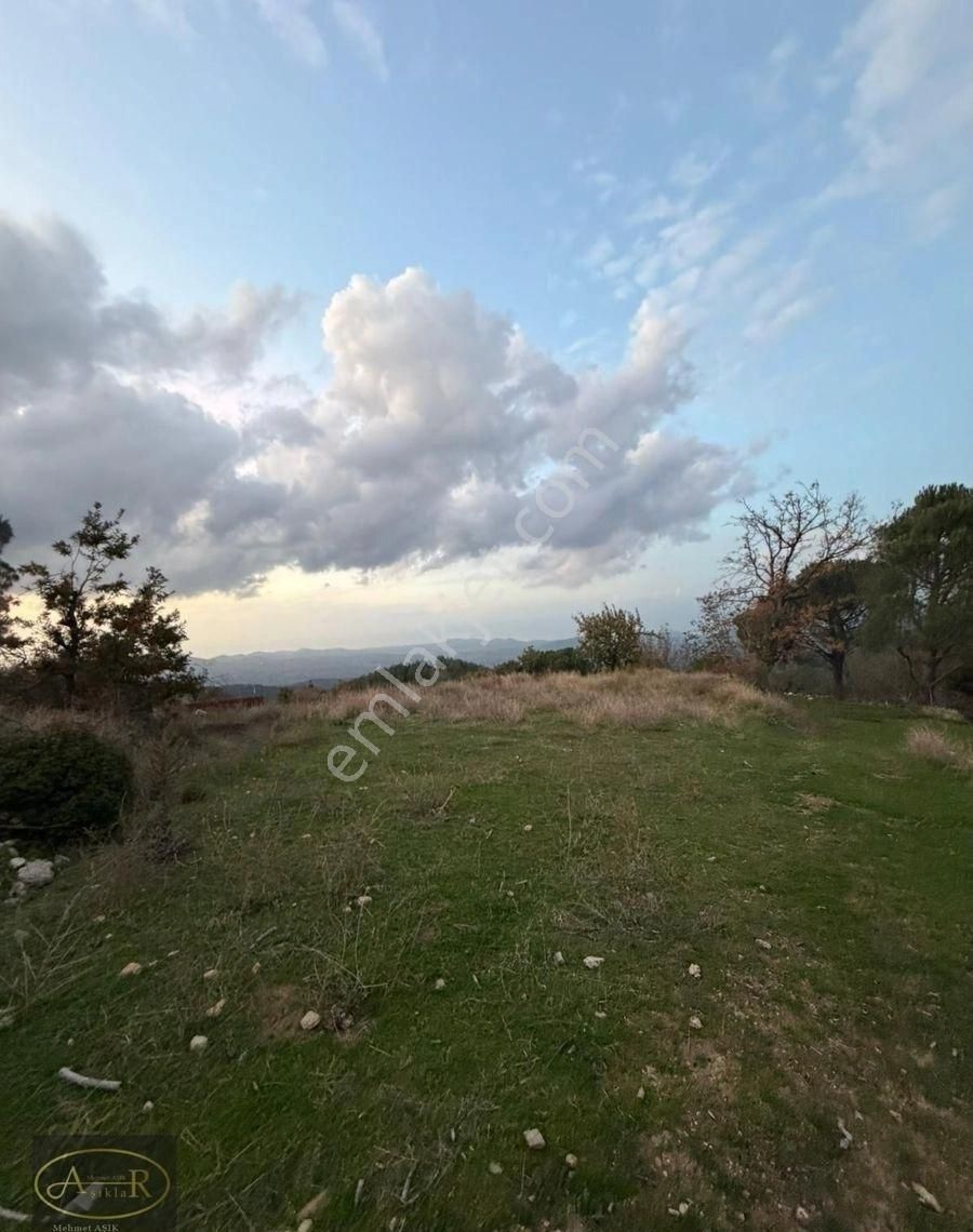 Balıkesir Burhaniye Kuyumcu Köyü Satılık Hobi Bahçesi - Görsel 8