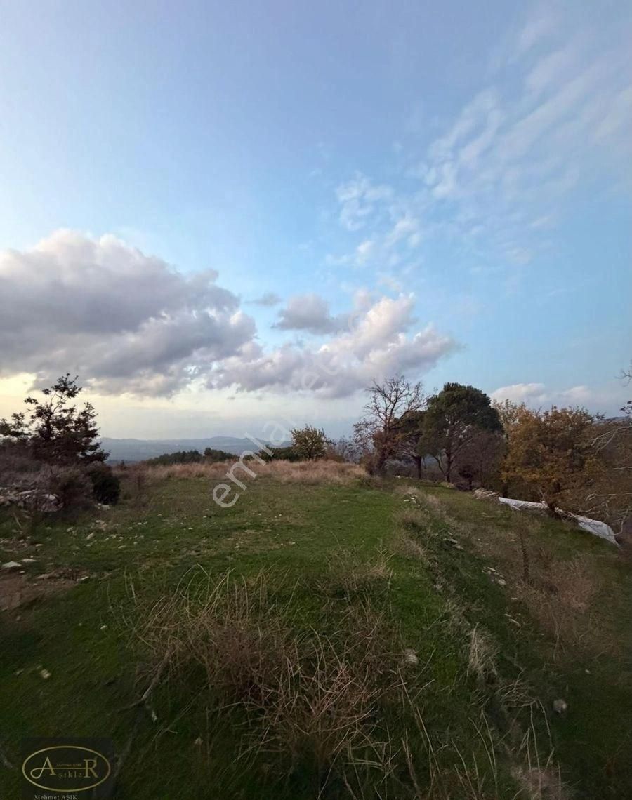 Balıkesir Burhaniye Kuyumcu Köyü Satılık Hobi Bahçesi - Görsel 25