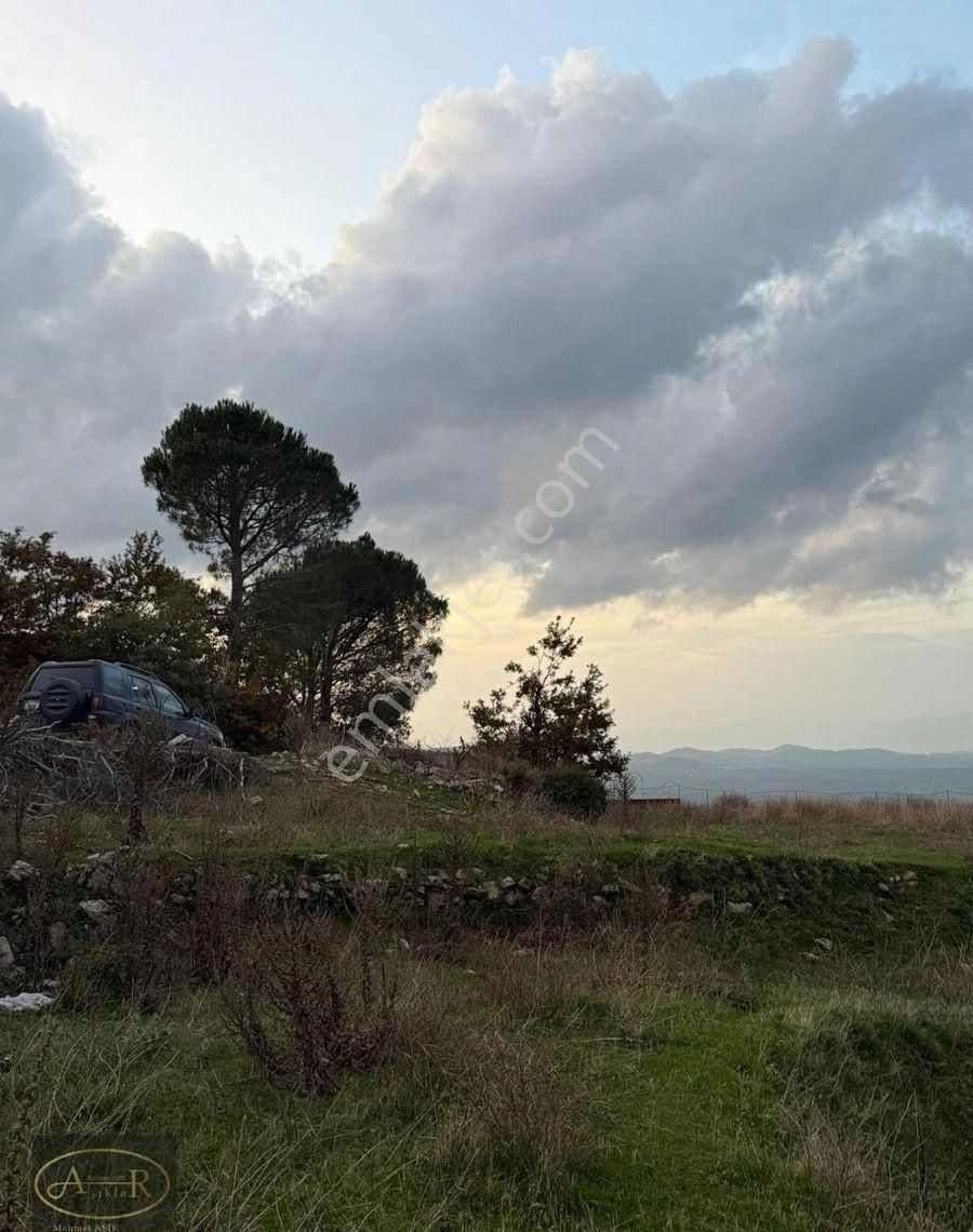 Balıkesir Burhaniye Kuyumcu Köyü Satılık Hobi Bahçesi - Görsel 15