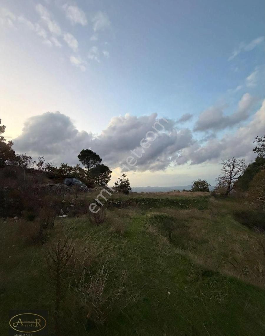 Balıkesir Burhaniye Kuyumcu Köyü Satılık Hobi Bahçesi - Görsel 6