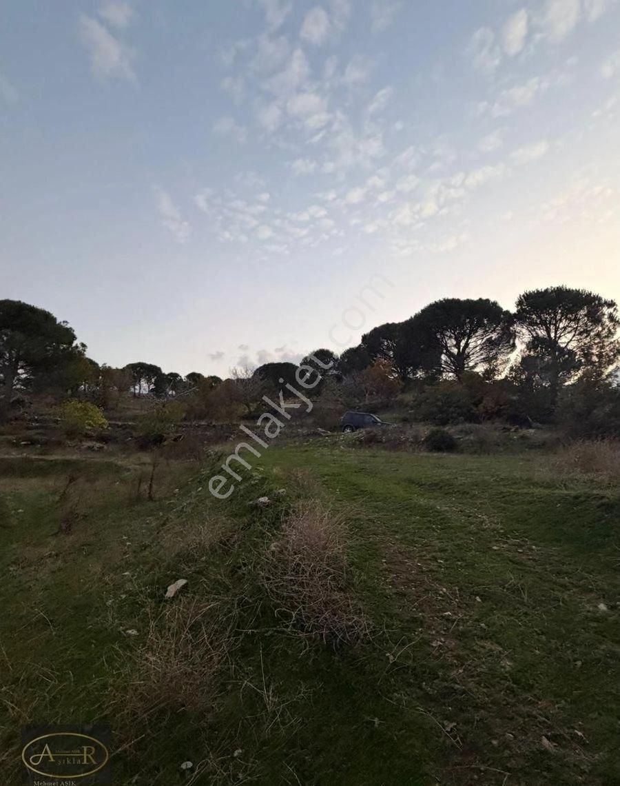 Balıkesir Burhaniye Kuyumcu Köyü Satılık Hobi Bahçesi - Görsel 5