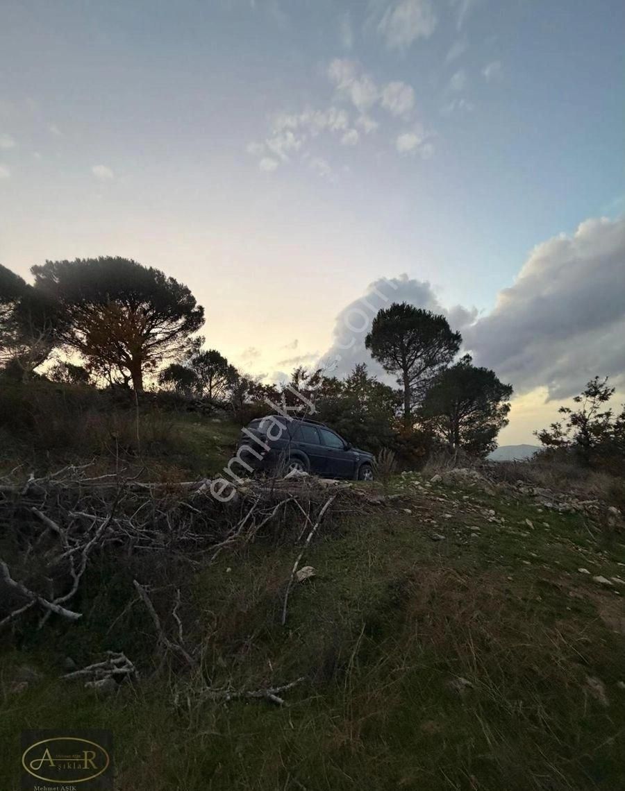 Balıkesir Burhaniye Kuyumcu Köyü Satılık Hobi Bahçesi - Görsel 24