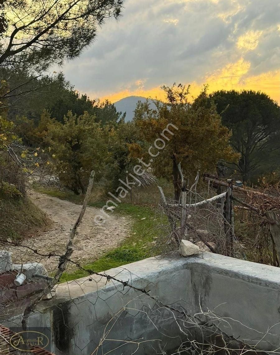 Balıkesir Burhaniye Kuyumcu Köyü Satılık Hobi Bahçesi - Görsel 4