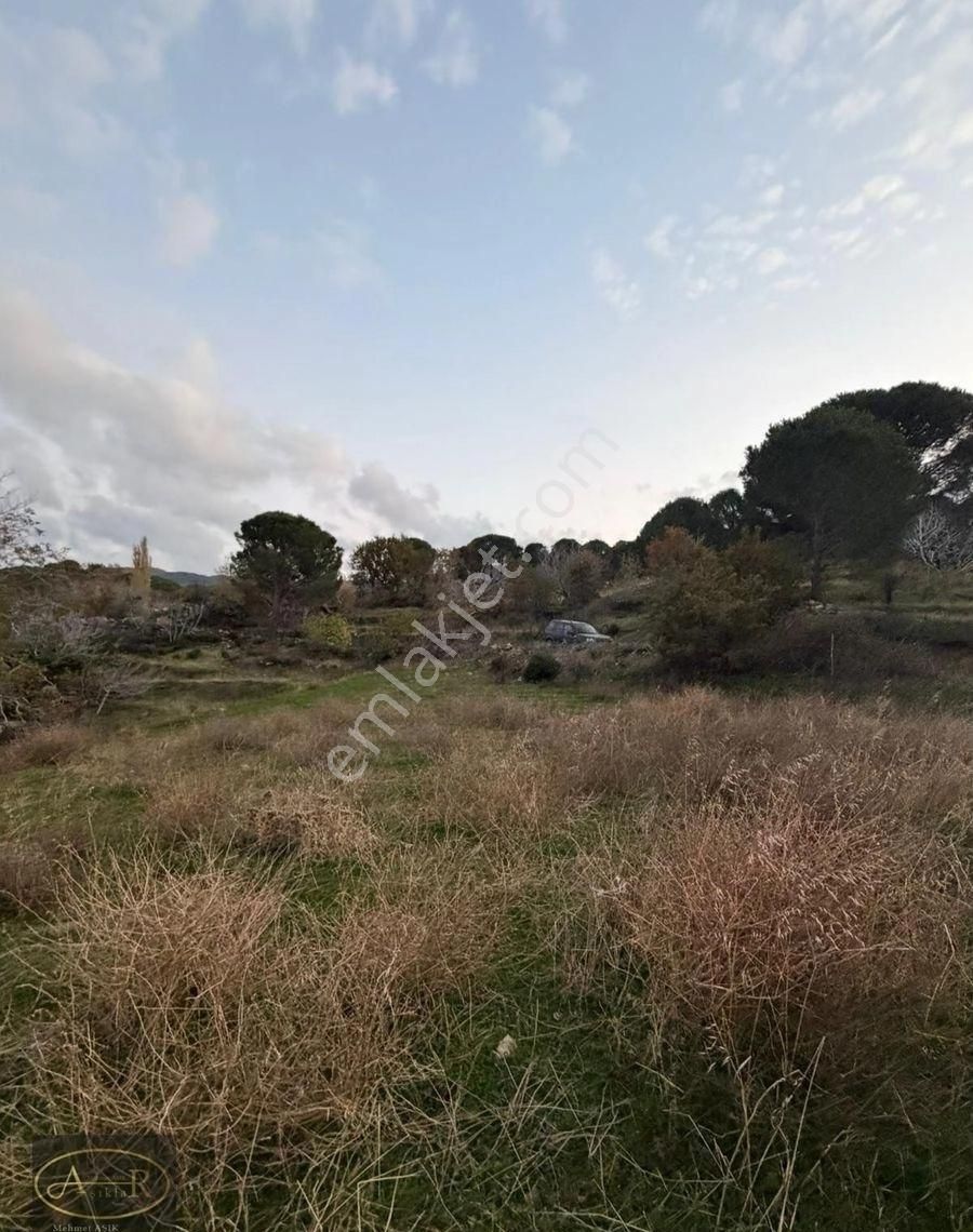 Balıkesir Burhaniye Kuyumcu Köyü Satılık Hobi Bahçesi - Görsel 23