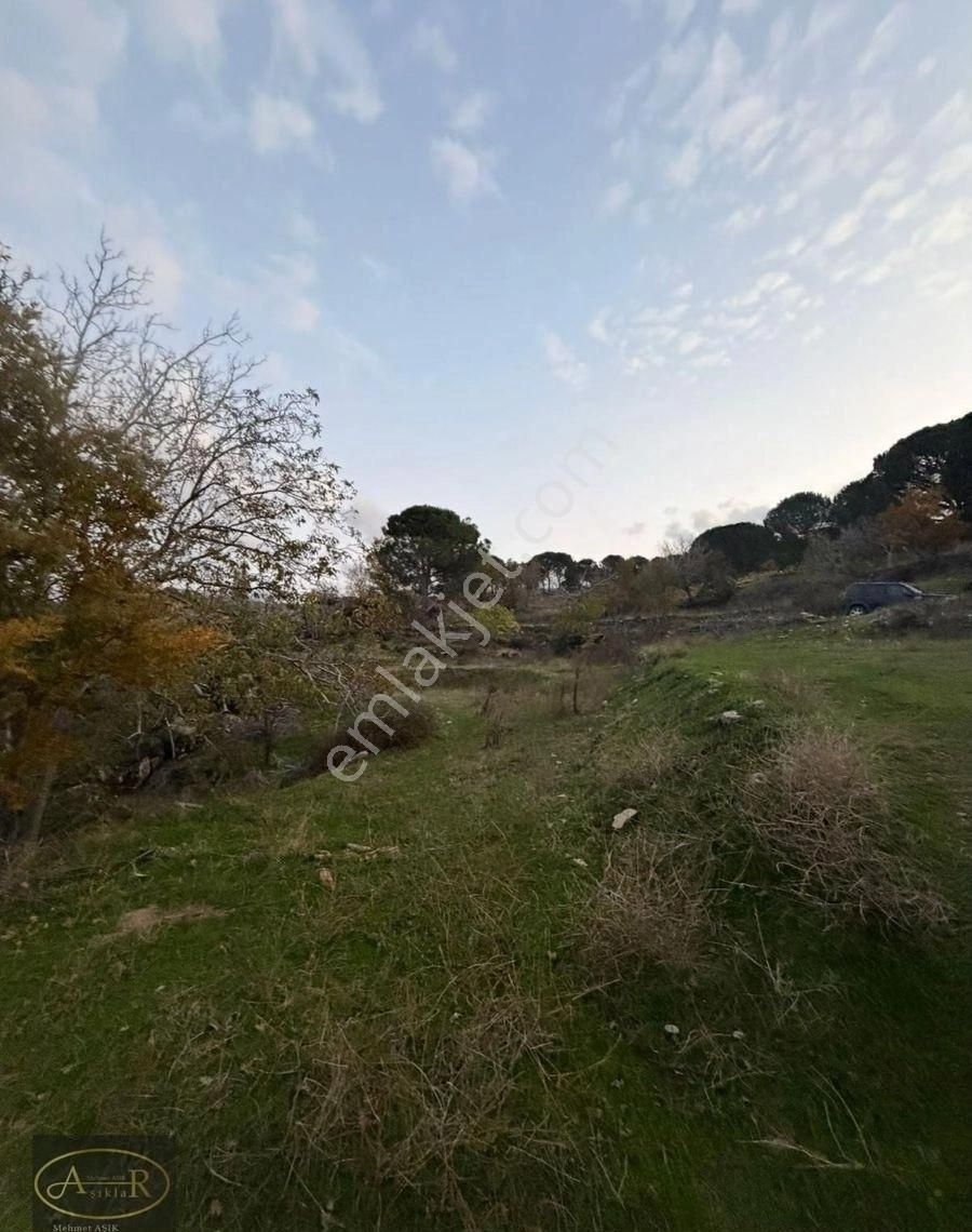 Balıkesir Burhaniye Kuyumcu Köyü Satılık Hobi Bahçesi - Görsel 11