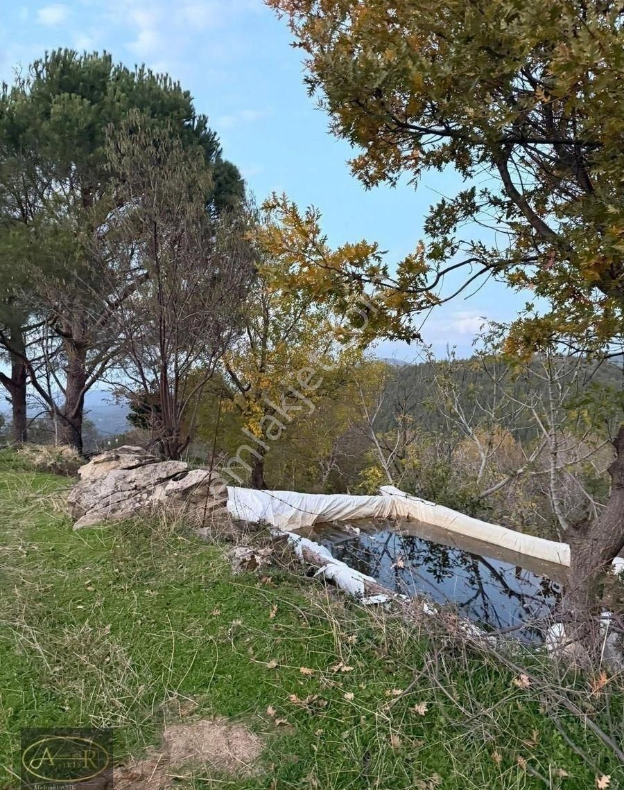 Balıkesir Burhaniye Kuyumcu Köyü Satılık Hobi Bahçesi - Görsel 31