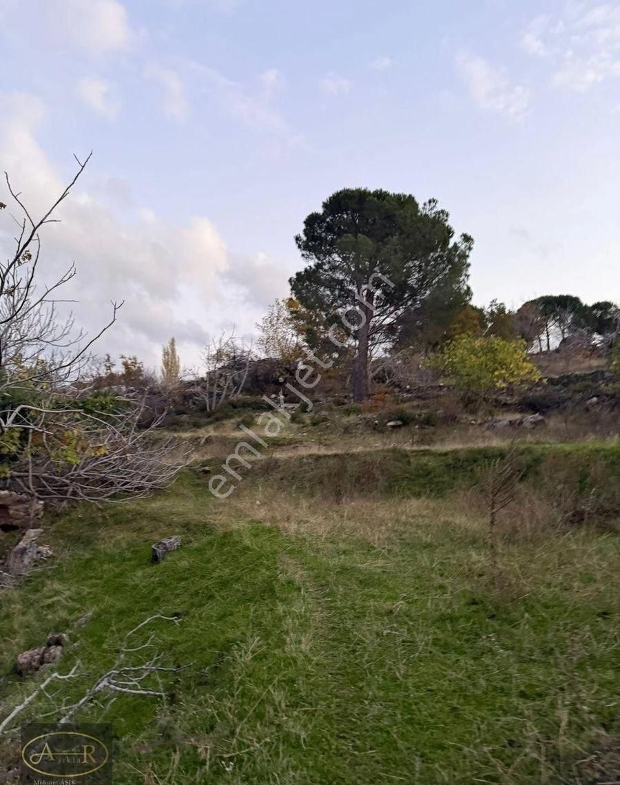 Balıkesir Burhaniye Kuyumcu Köyü Satılık Hobi Bahçesi - Görsel 22