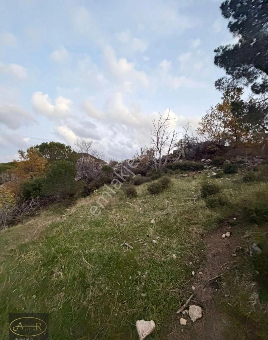 Balıkesir Burhaniye Kuyumcu Köyü Satılık Hobi Bahçesi - Görsel 10